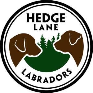 Hedge Lane Logo v2